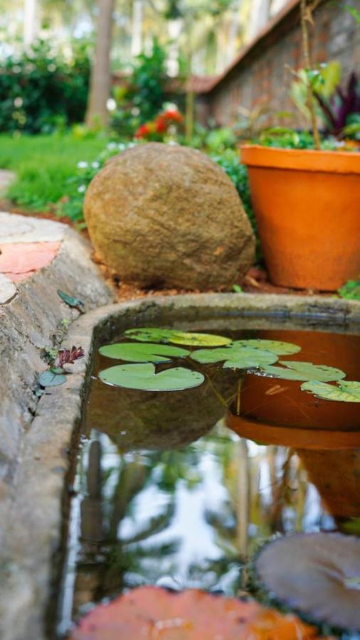 Dr Nisha'S Vedic Remedies 特里凡得琅 外观 照片